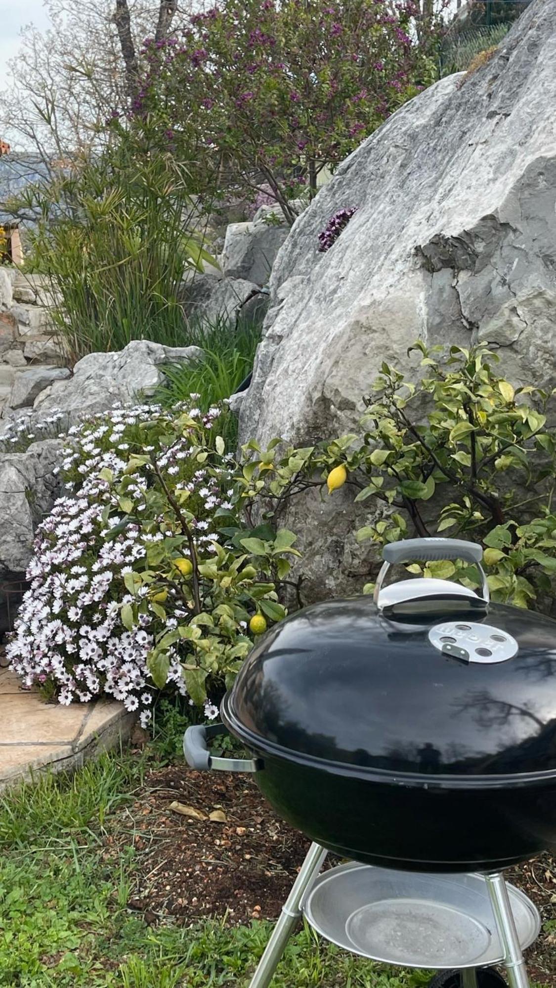 Rez De Jardin, Entre Mer Et Montagne Levens Εξωτερικό φωτογραφία