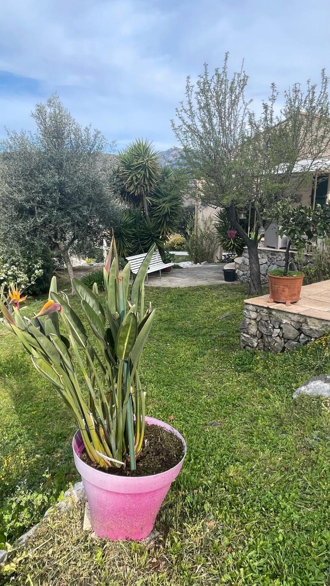 Rez De Jardin, Entre Mer Et Montagne Levens Εξωτερικό φωτογραφία