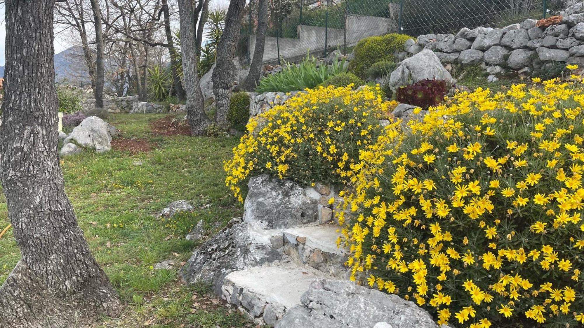Rez De Jardin, Entre Mer Et Montagne Levens Εξωτερικό φωτογραφία