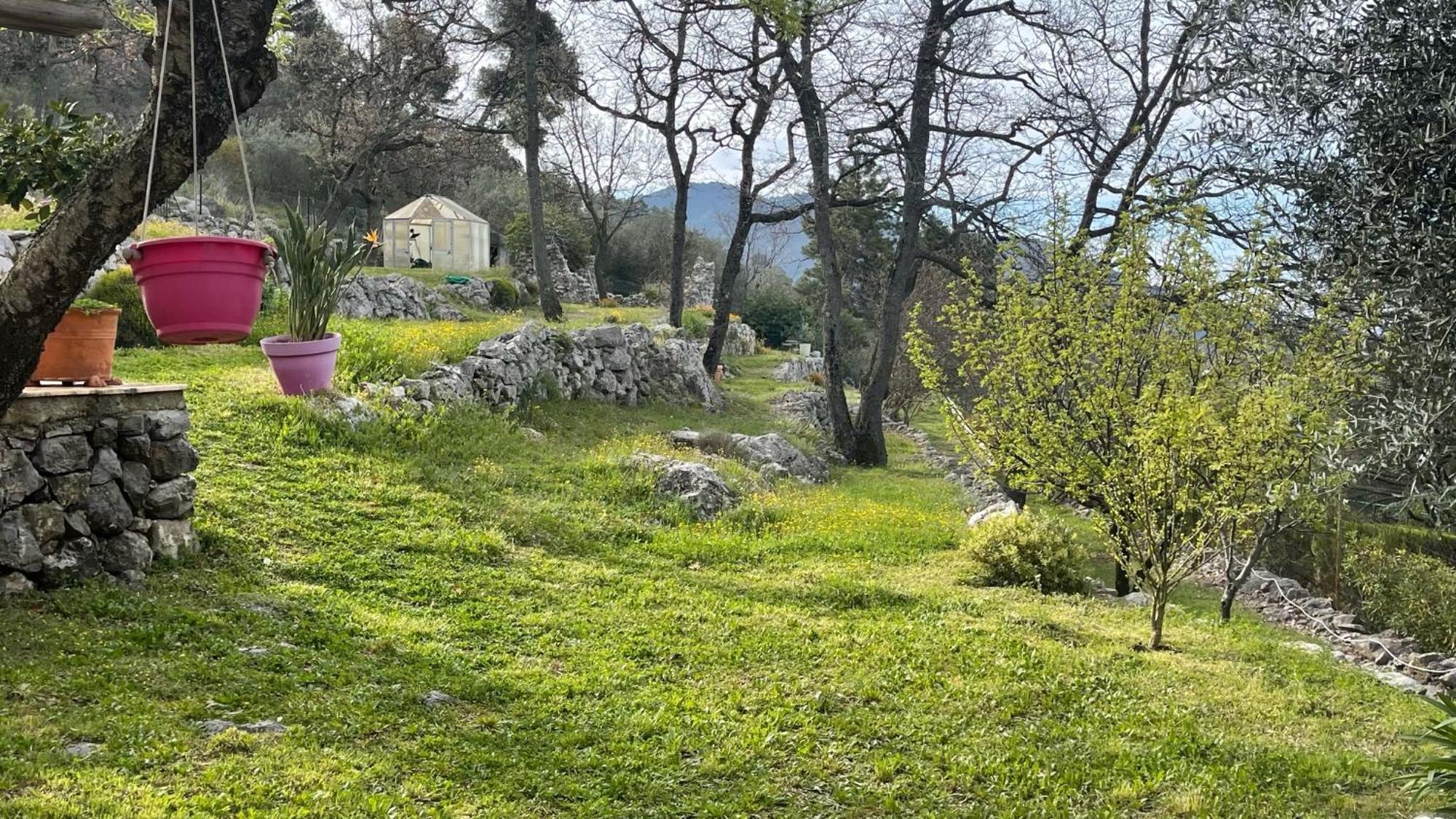 Rez De Jardin, Entre Mer Et Montagne Levens Εξωτερικό φωτογραφία